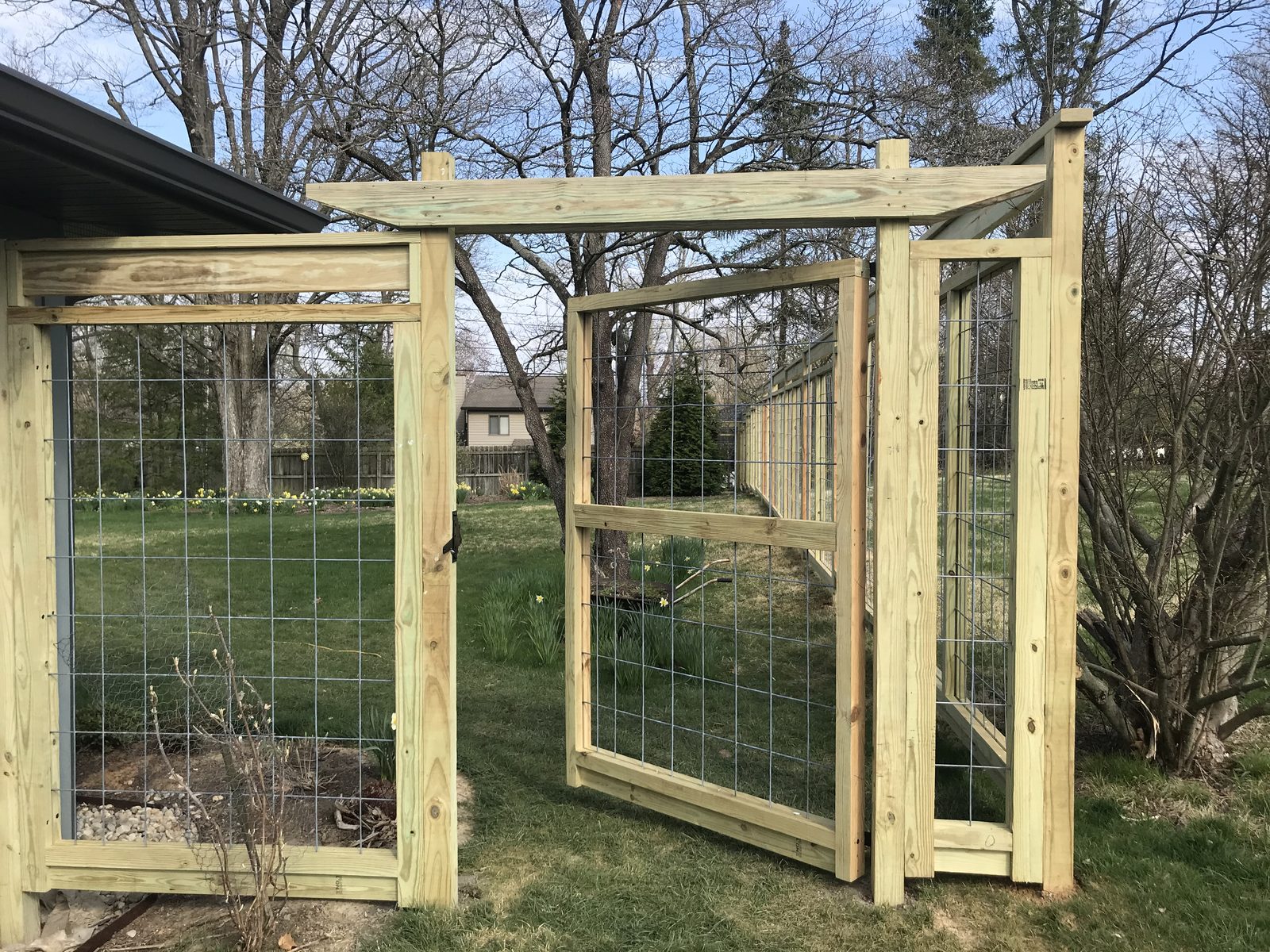 Hog wire panel fence with a cedar arbor over the gate